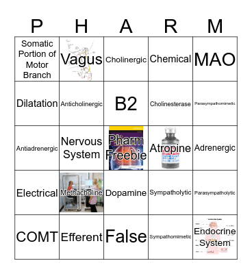 Test 2 Bingo Card