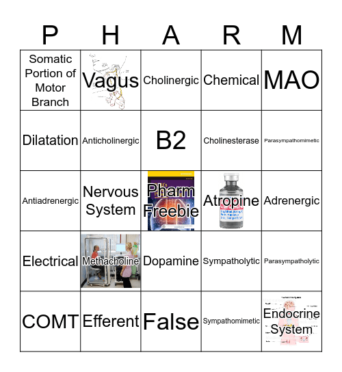 Test 2 Bingo Card