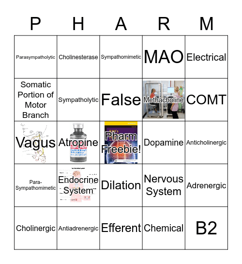 Test 2 Bingo Card