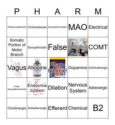 Test 2 Bingo Card