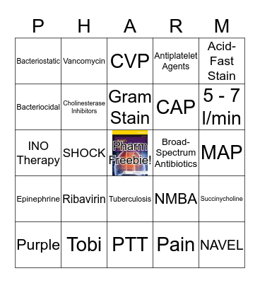 Test 5 Bingo Card