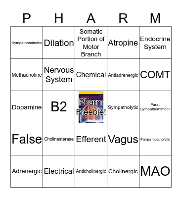 Test 2 Bingo Card