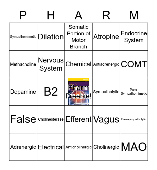 Test 2 Bingo Card