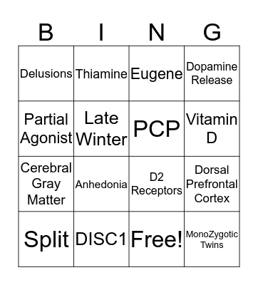 Schizophrenic Bingo Card
