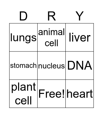 Science Vocab Bingo Card