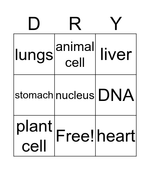 Science Vocab Bingo Card