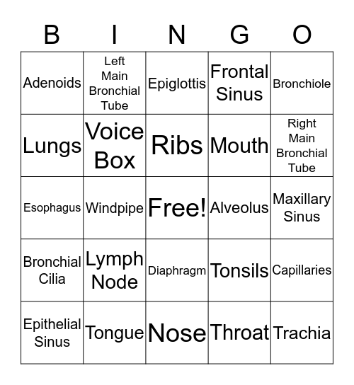 Respiratory System BINGO Card