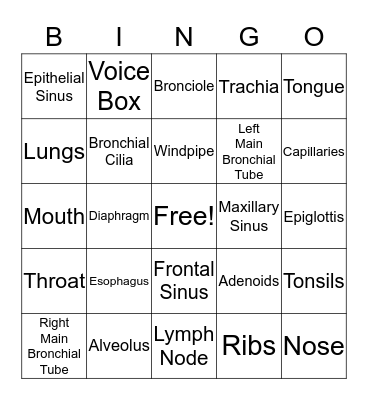 Respiratory System BINGO Card
