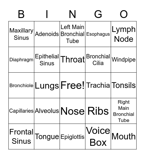 Respiratory System BINGO Card
