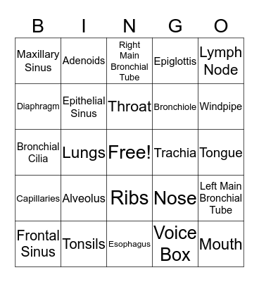 Respiratory System BINGO Card