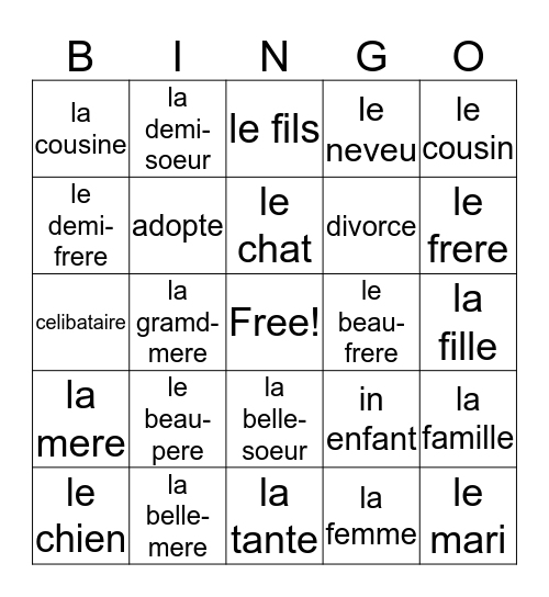 French 1, Chapter 3, Vocabulary 2 (Family) Bingo Card