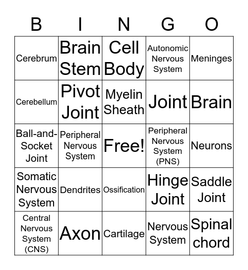 Bingo The Nerves  Bingo Card