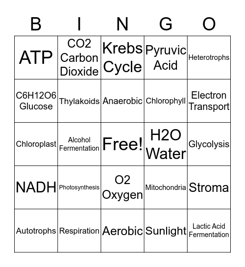 Photosynthesis & Respiration Bingo Card