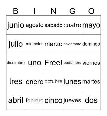 los meses Bingo Card