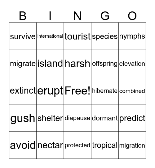 3rd Grade Spiral Review Bingo Card