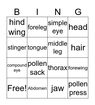 parts of a bee Bingo Card