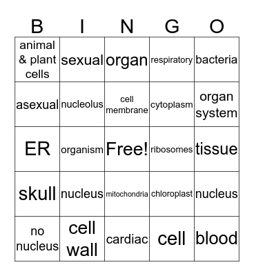 Chapter 3 Bingo! Bingo Card