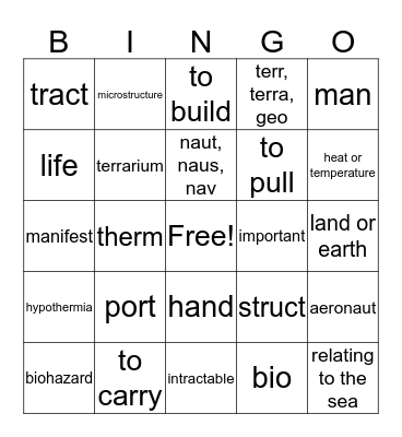 Semester 1 Stem Words Bingo Card