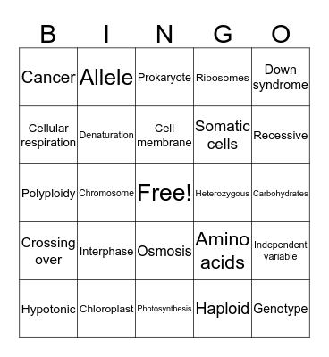 Midterm Review!! Bingo Card