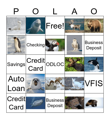 Polar Animals Bingo Card