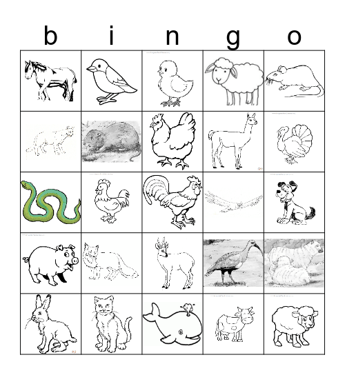 ruka kulliñ ka auka kullin Bingo Card