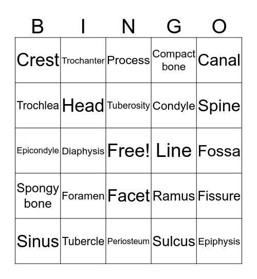 Bone Markings Bingo Card
