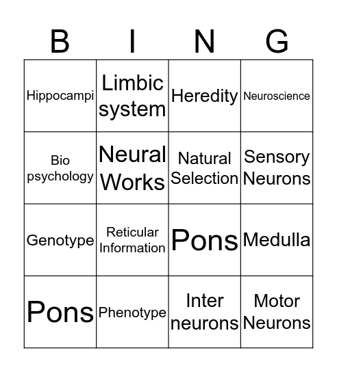 Brain Bio Psychology Bingo Card