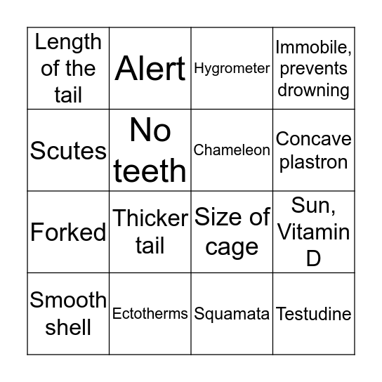 Amphibians or Reptiles Bingo Card