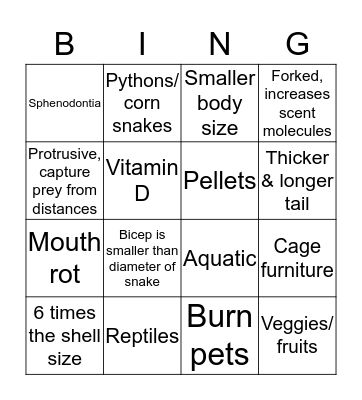 Reptile or Amphibian Bingo Card