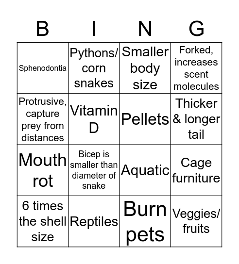 Reptile or Amphibian Bingo Card