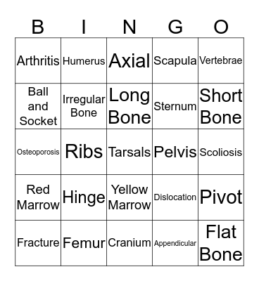 Skeletal System Bingo Card