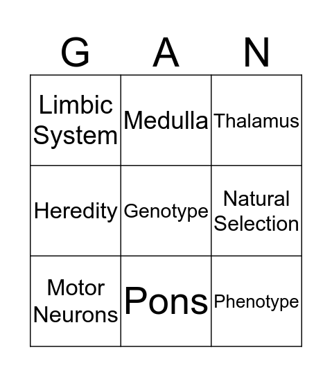 Bio Psychology Bingo 3x3 Bingo Card
