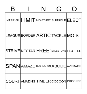 Vocabulary Bingo Card