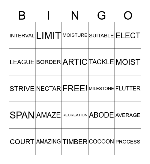 Vocabulary Bingo Card