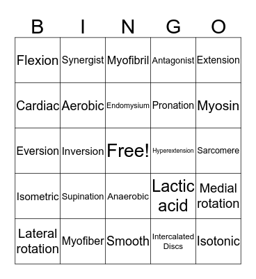 Muscular System Bingo Card