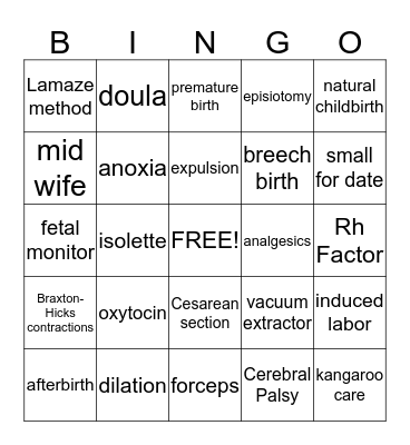 Birth and the Newborn Child Bingo Card