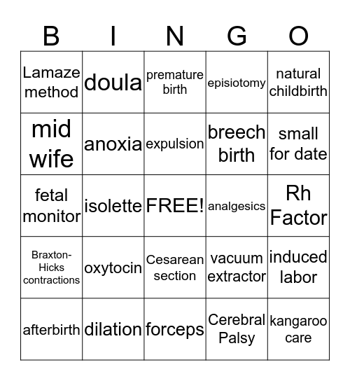 Birth and the Newborn Child Bingo Card