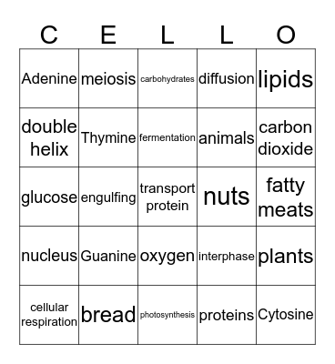 Unit 2 Review Bingo Card