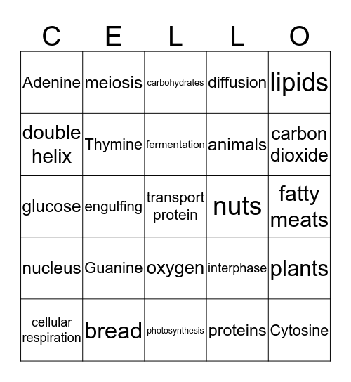 Unit 2 Review Bingo Card