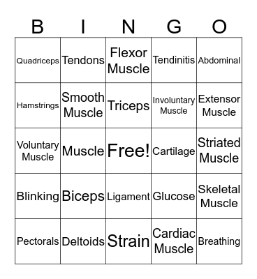 Muscular System Bingo Card