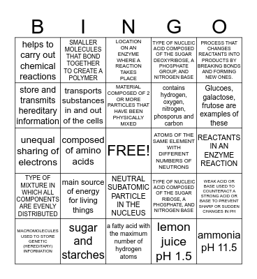 Ch 2 Vocab Bingo Card