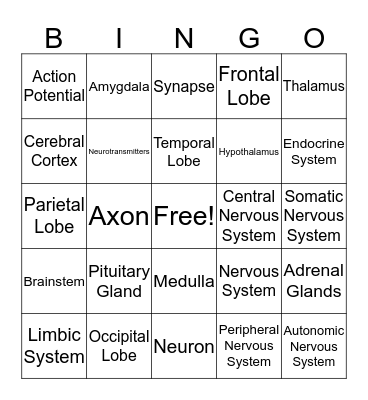 Biology of the Mind Bingo Card