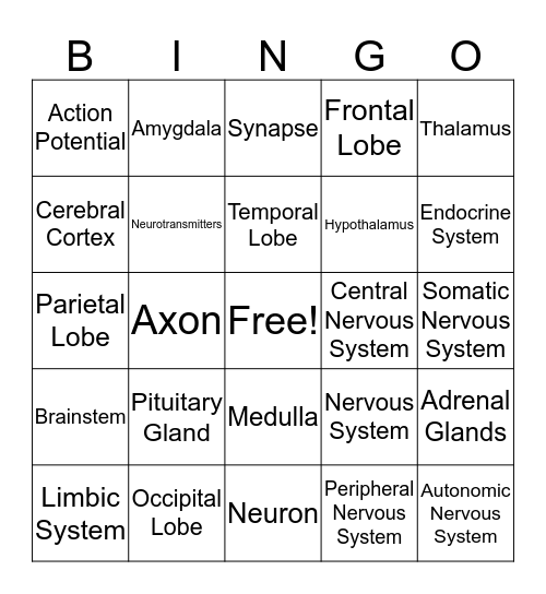 Biology of the Mind Bingo Card