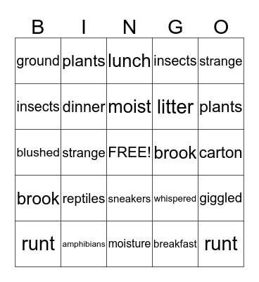 Vocabulary from the Text Bingo Card