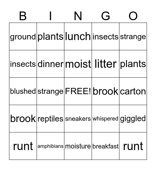Vocabulary from the Text Bingo Card