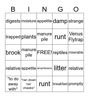 Vocabulary from the Text Bingo Card