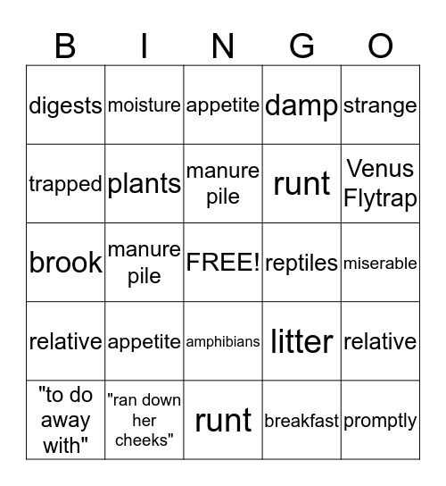 Vocabulary from the Text Bingo Card