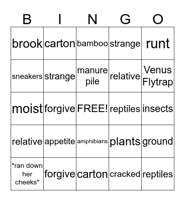 Vocabulary from the Text Bingo Card