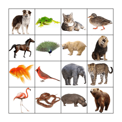 ANIMALS Bingo Card