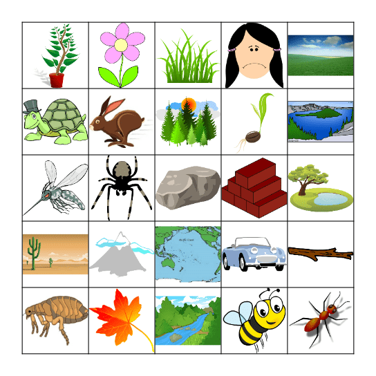 Elementary Russian 2 Chapters 6-10 Bingo Card